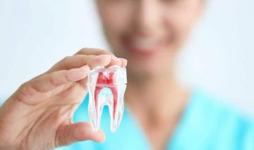 Endodontie