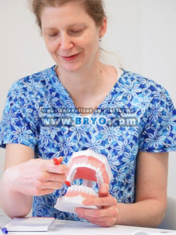clinica de stomatologie din Bucuresti, servicii stomatologice de calitate, medici buni stomatologi pret