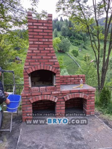 Plante amenajari gradini, livrare de plante gradina in toata tara, Livrare plante amenajari gradini in toata tara - Tuia, pret brazi, preturi Ienuperi, platani pepiniera, mesteceni, livrare tei, oferte pini, firme vanzare fagi, carpeni, stejari, brad argintiu, brazi verzi, platan ieftin, mesteacan, pin de vanzare, carpen pepiniere, stejar de gradina,