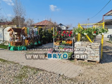 vanzare meri, preturi pruni pepiniera, oferta vanzare ciresi visini