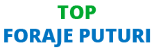 Echipa Puturi Foraje Apa