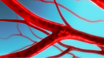  doctor bun chirurgie vasculara, cei mai buni medici chirurgie vasculara, doctor bun chirurgie totacica preturi, recomandare clinici chirurgie toracica vasculara pret, spital chirurgie vasculara specialisti