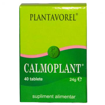 Calmoplant 40tb