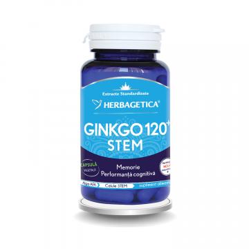 Ginkgo 120 Stem 60cps