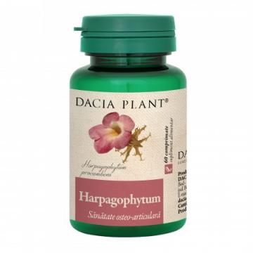 Harpagophytum 60cpr